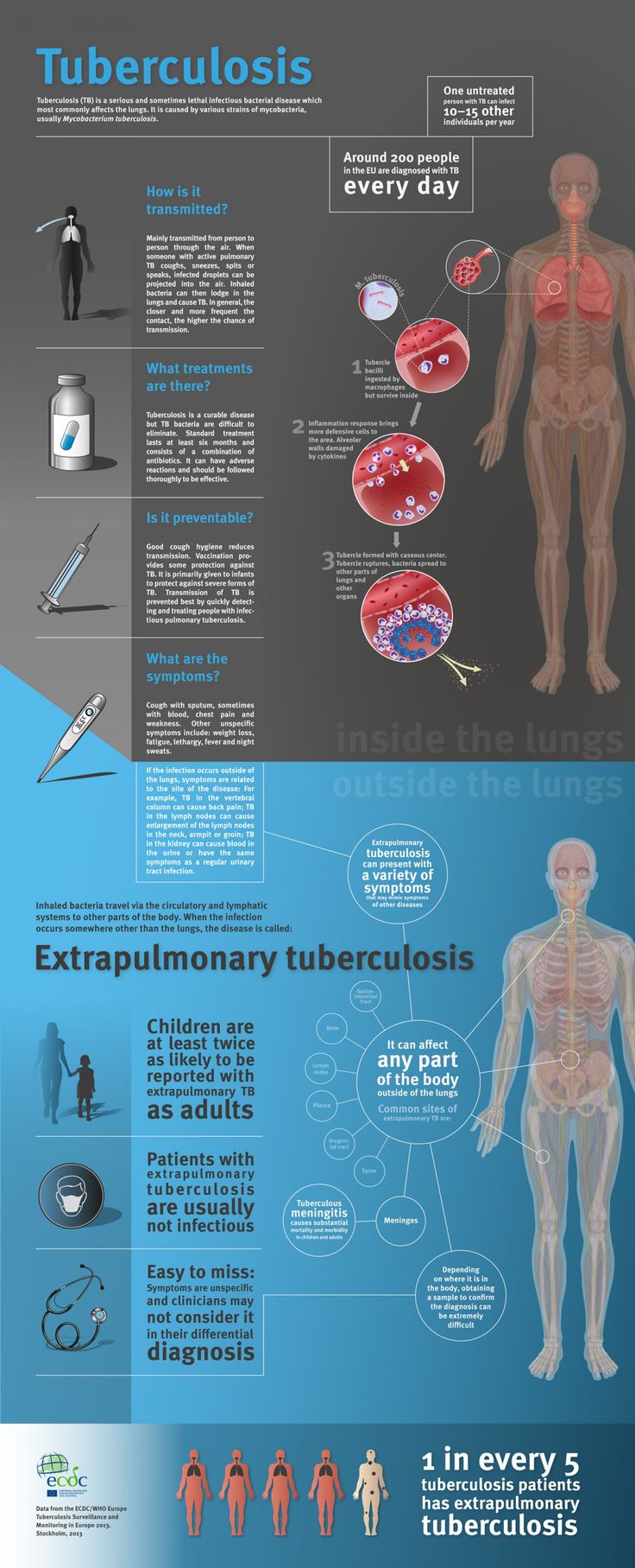 Tuberculosis is a bacterial infection that can spread through the lymph nodes and bloodstream to any organ in your body.: 